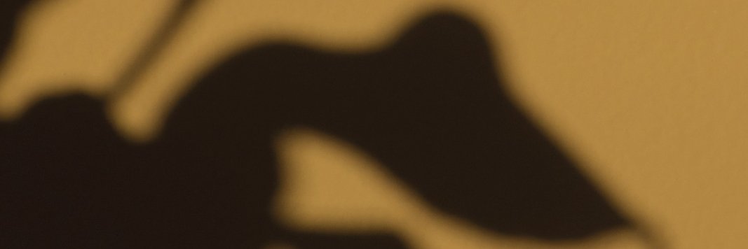clemzzz banner