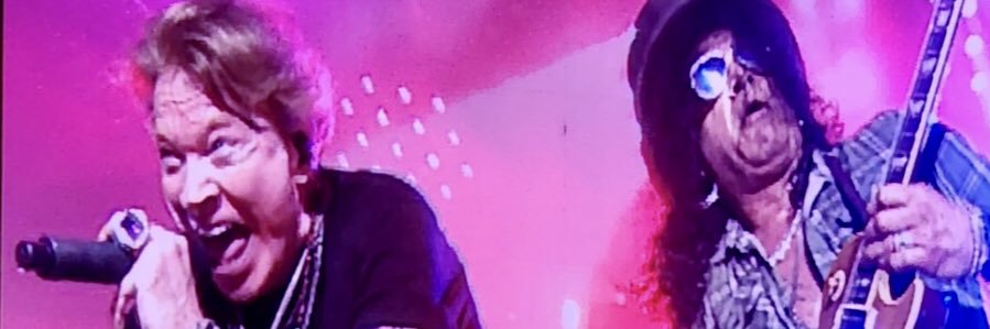 DominelliElisa's profile banner image