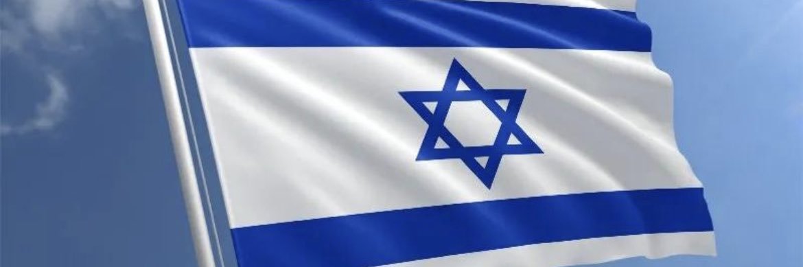 DANIT APELBAUM banner