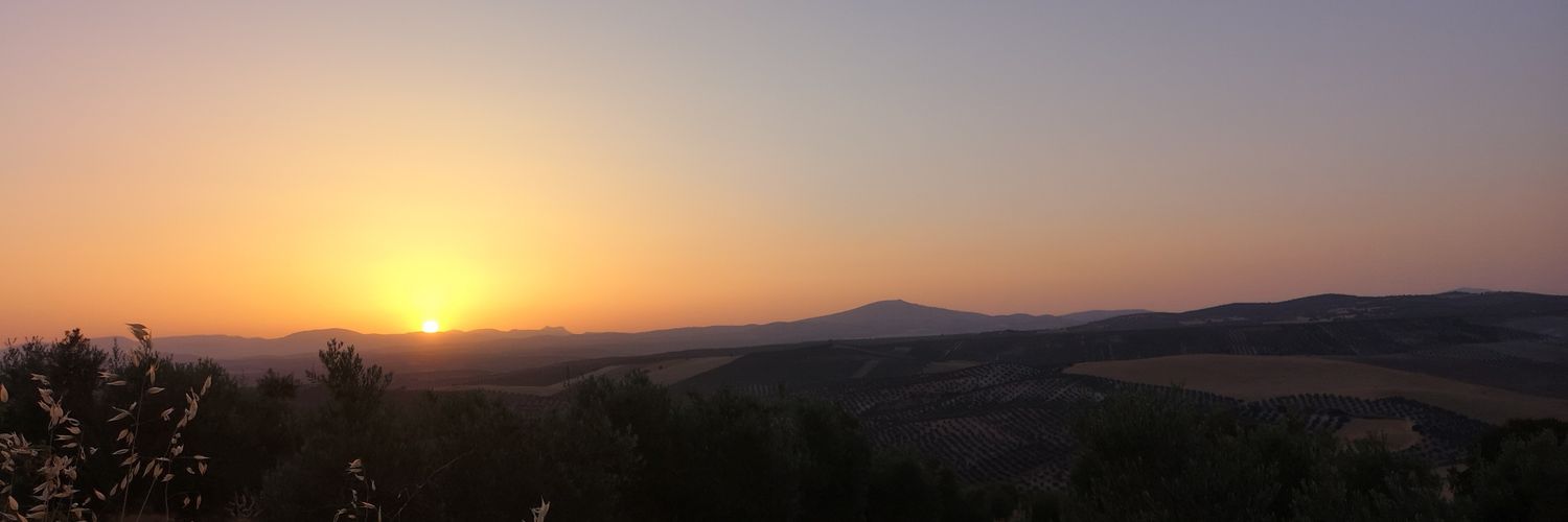 Paaolaaa98's profile banner image
