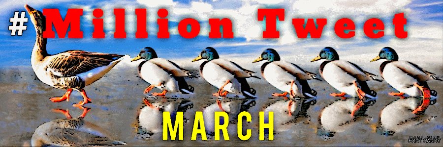 stopguninsanity's profile banner image