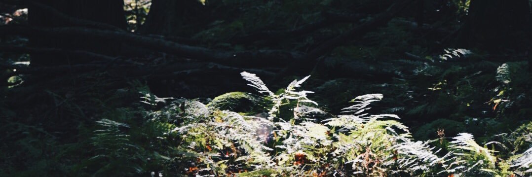 kellimess_14's profile banner image