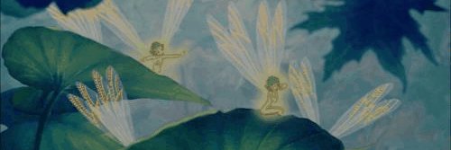 Mariposza banner