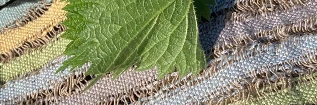 🌿Artist - Weaver - Change-Maker🌿 banner