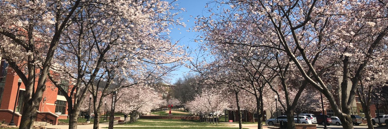 wkutop's profile banner image
