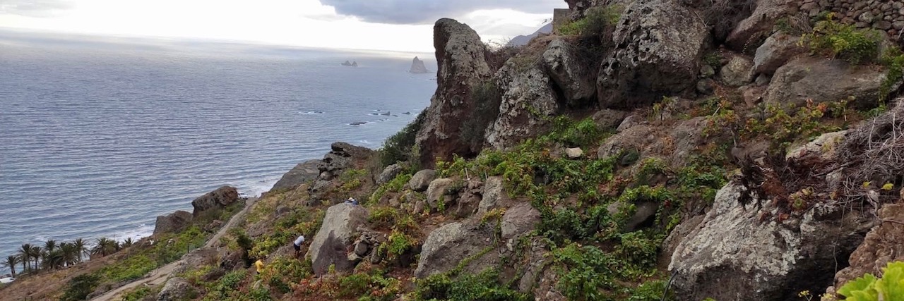 Polaner Selections banner