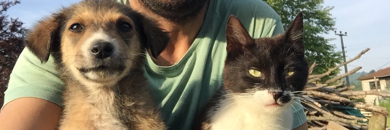 merapaydn's profile banner image
