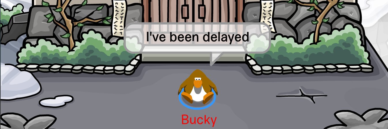 BuckyCPO's profile banner image