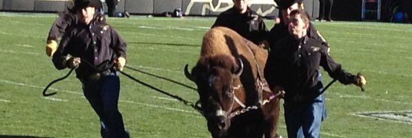 Stebo11's profile banner image