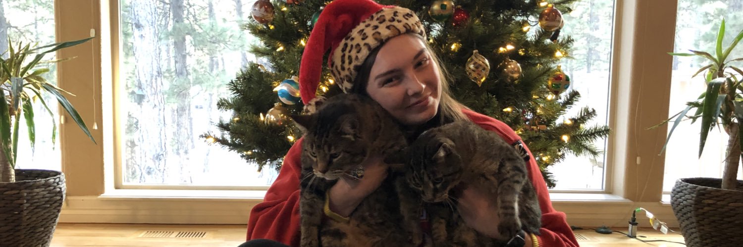 Gabbi_Cook's profile banner image