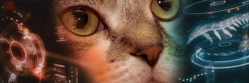 I Am Iron Cat banner