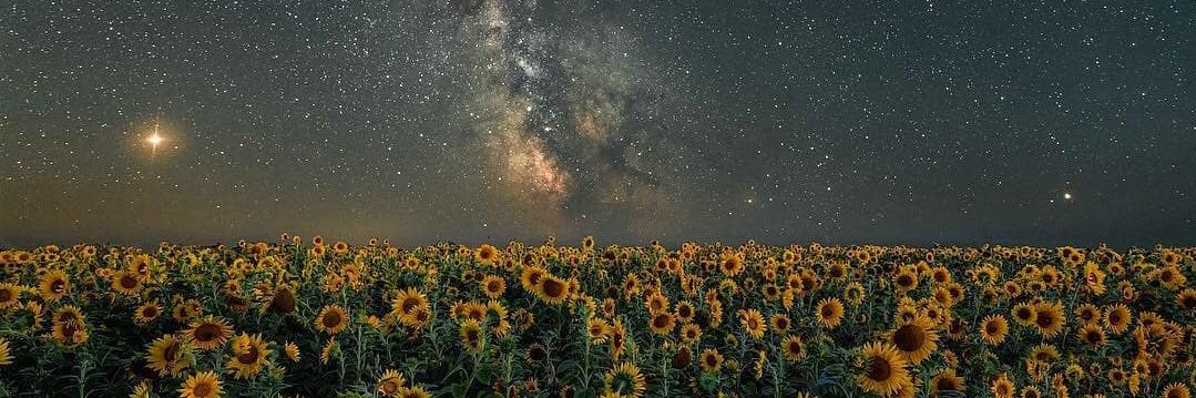 harleyannx's profile banner image
