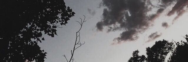 nariwx banner