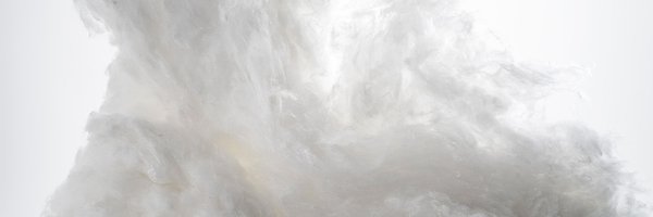 MetsaSpring Profile Banner