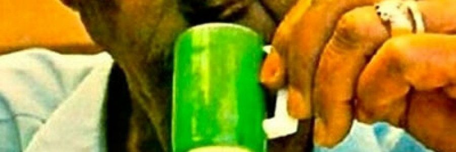 DanielSMalta's profile banner image