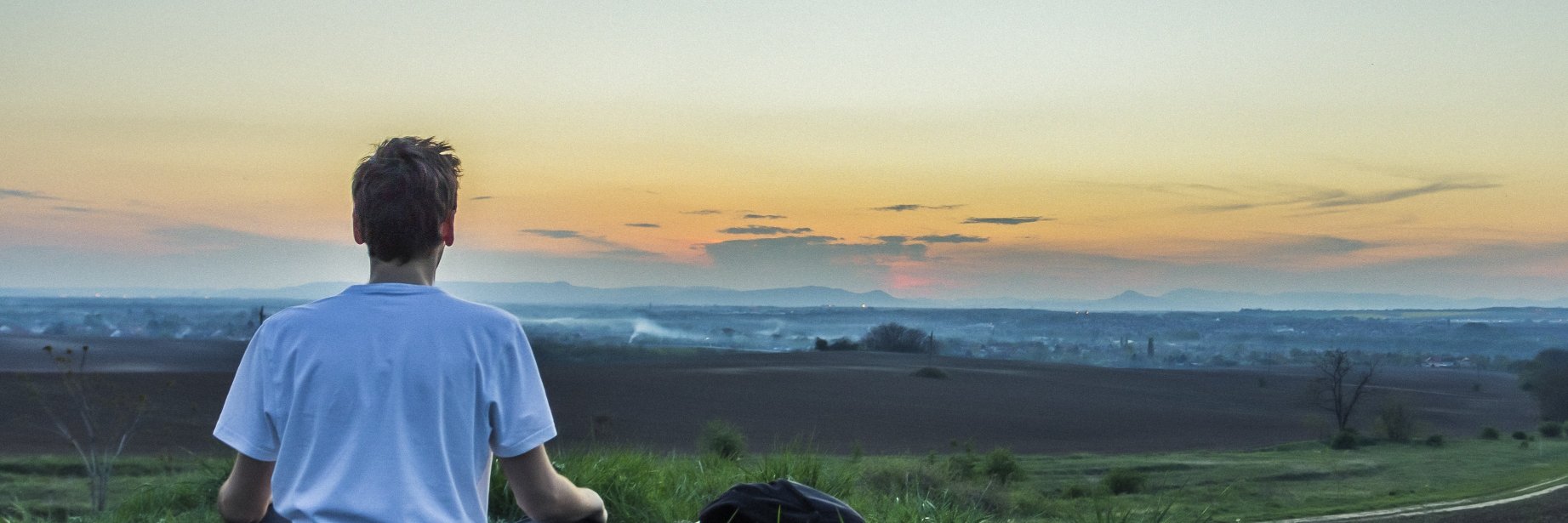 bodegadecum's profile banner image