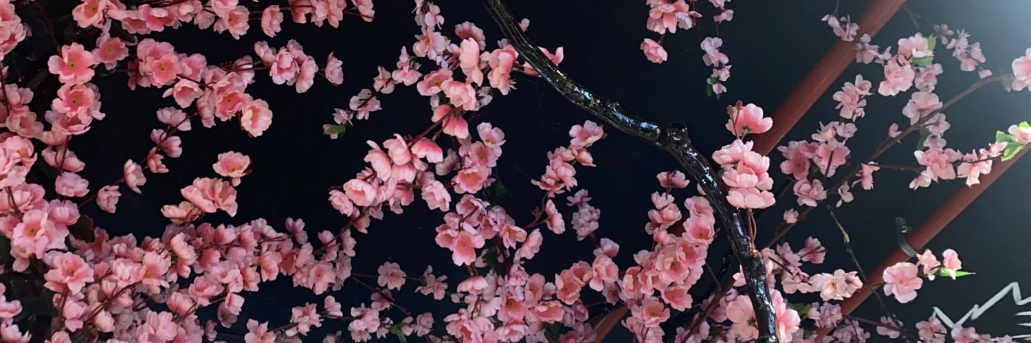 valentinallerep's profile banner image