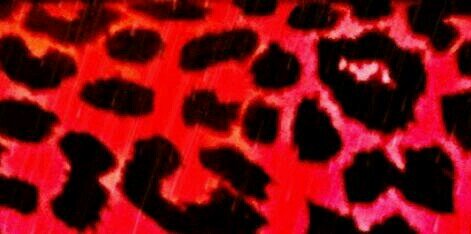 mar_tung's profile banner image