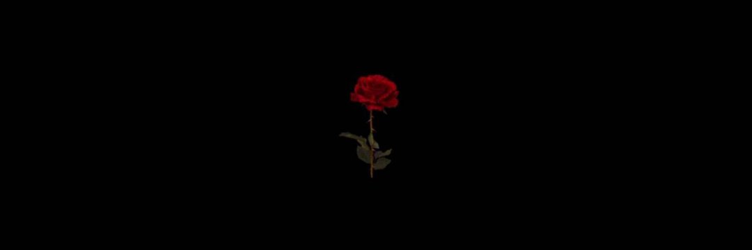 𝕾 banner