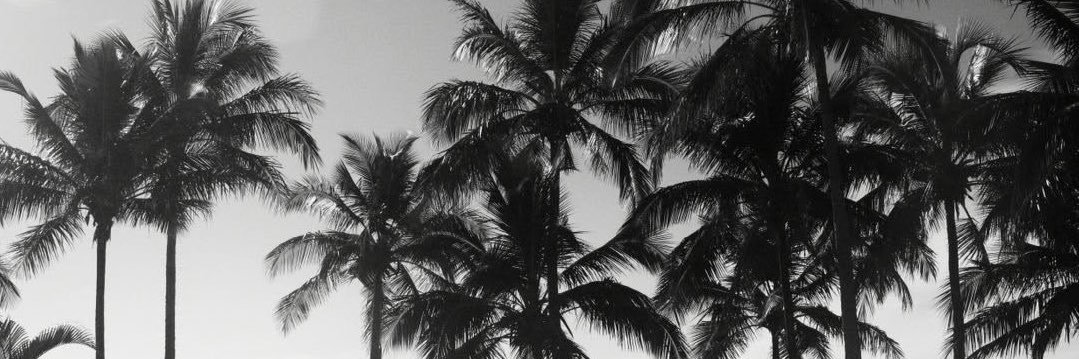NRziz7's profile banner image