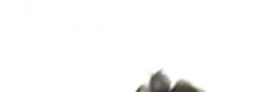 SAMGEEE_1230's profile banner image