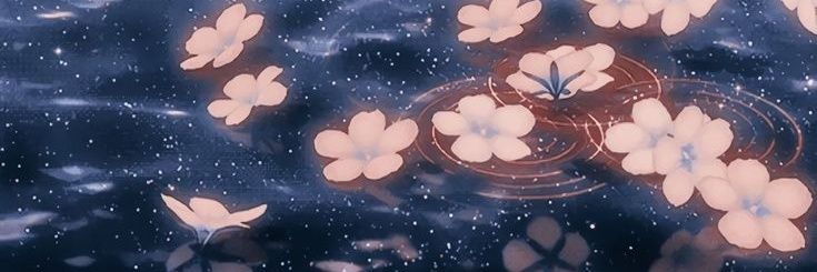 Petratpas's profile banner image