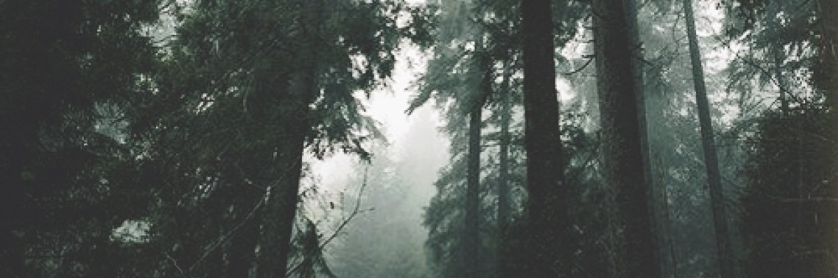 hAMBERger_28's profile banner image