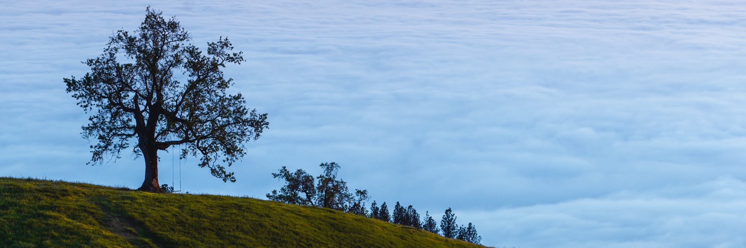 marvinofgi's profile banner image