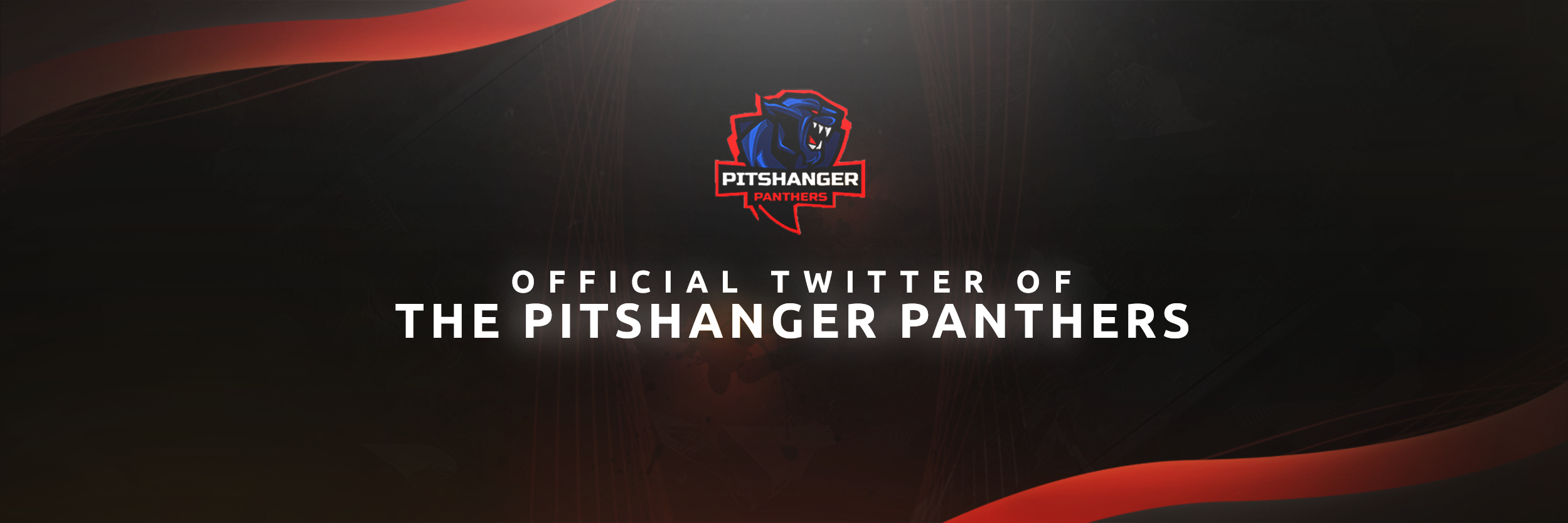 Pitshanger Panthers banner
