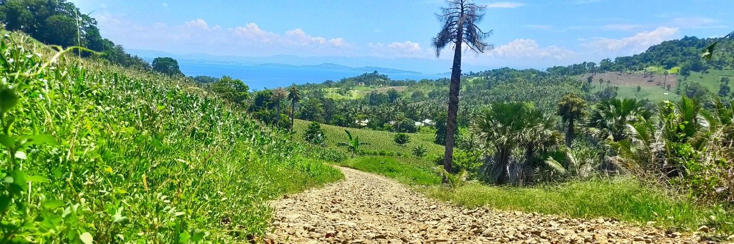 Erieska Wahidiyantho banner