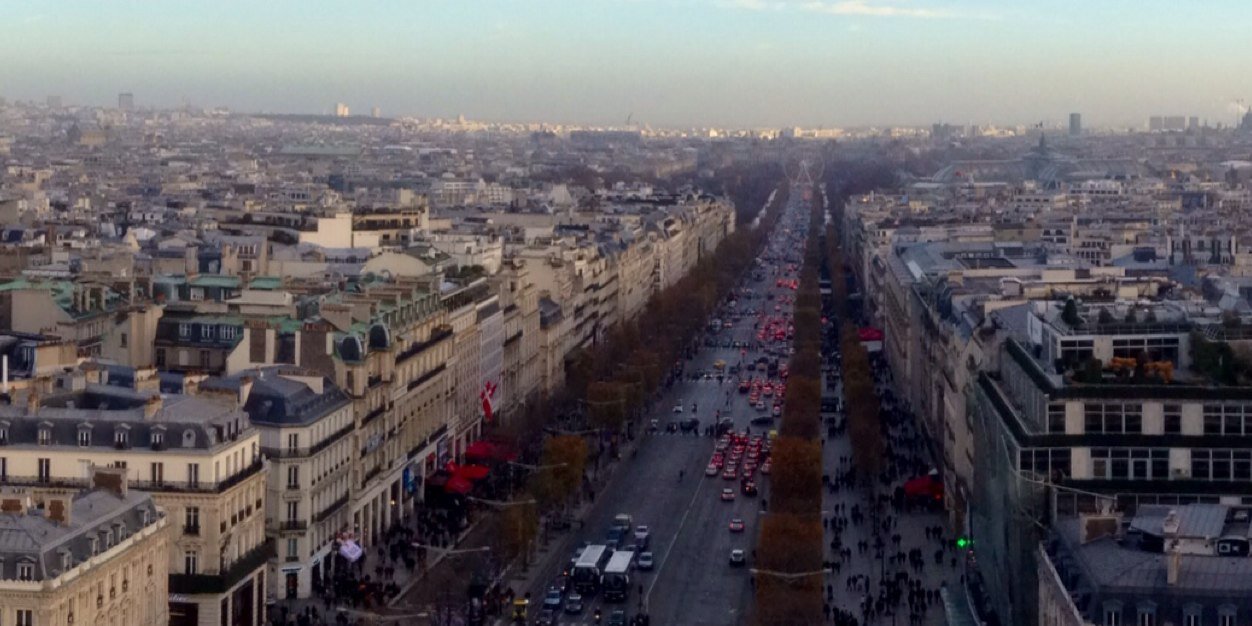 Alex Pamphilon banner