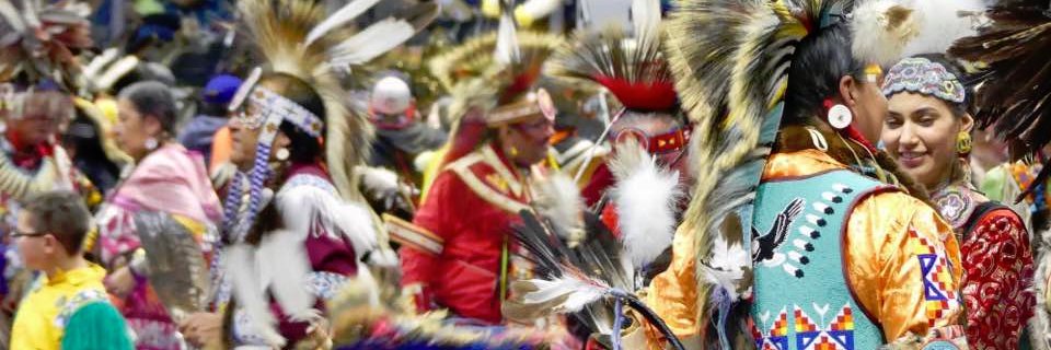 Stefani Langenegger banner