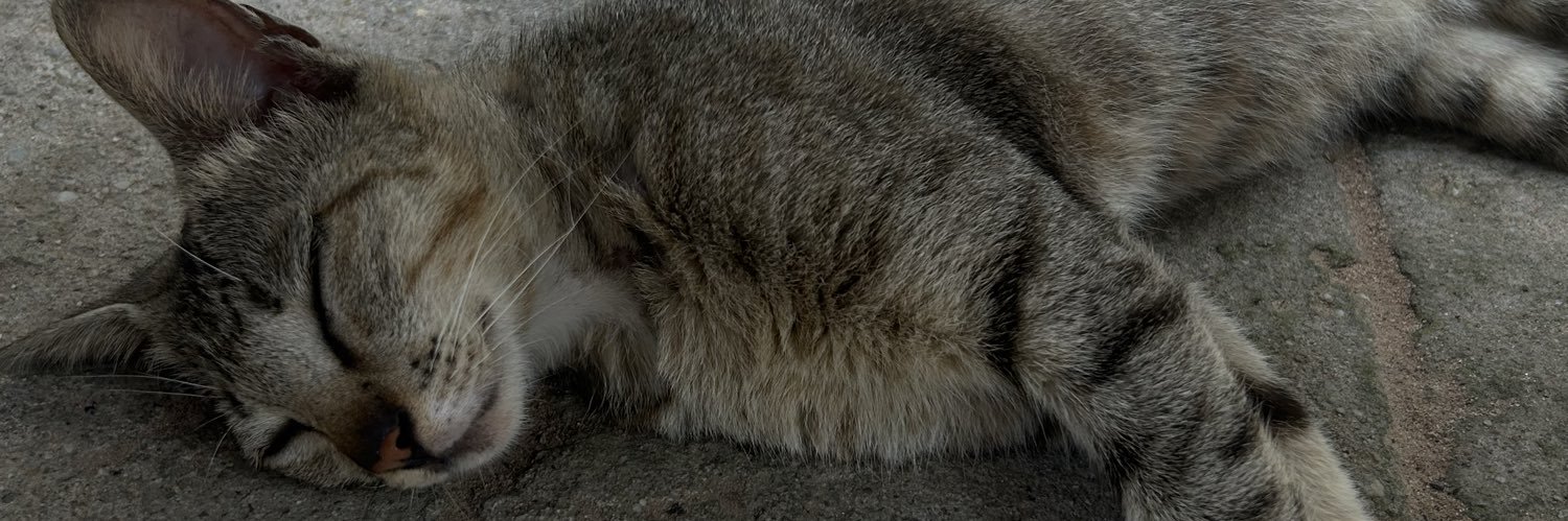 𝓕𝓪𝓫𝓲𝓸 ✞ banner