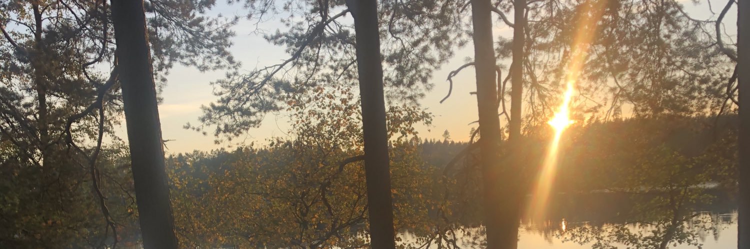 Juwlija's profile banner image