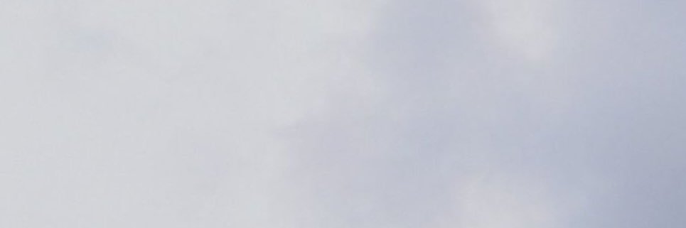 inês banner