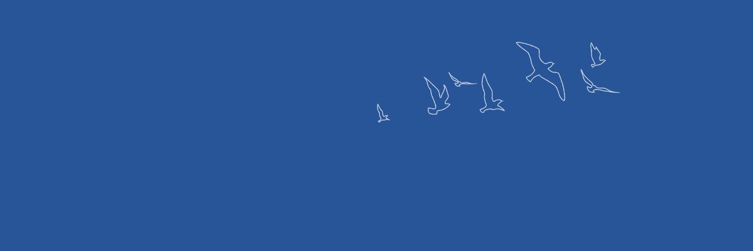 networkredux's profile banner image