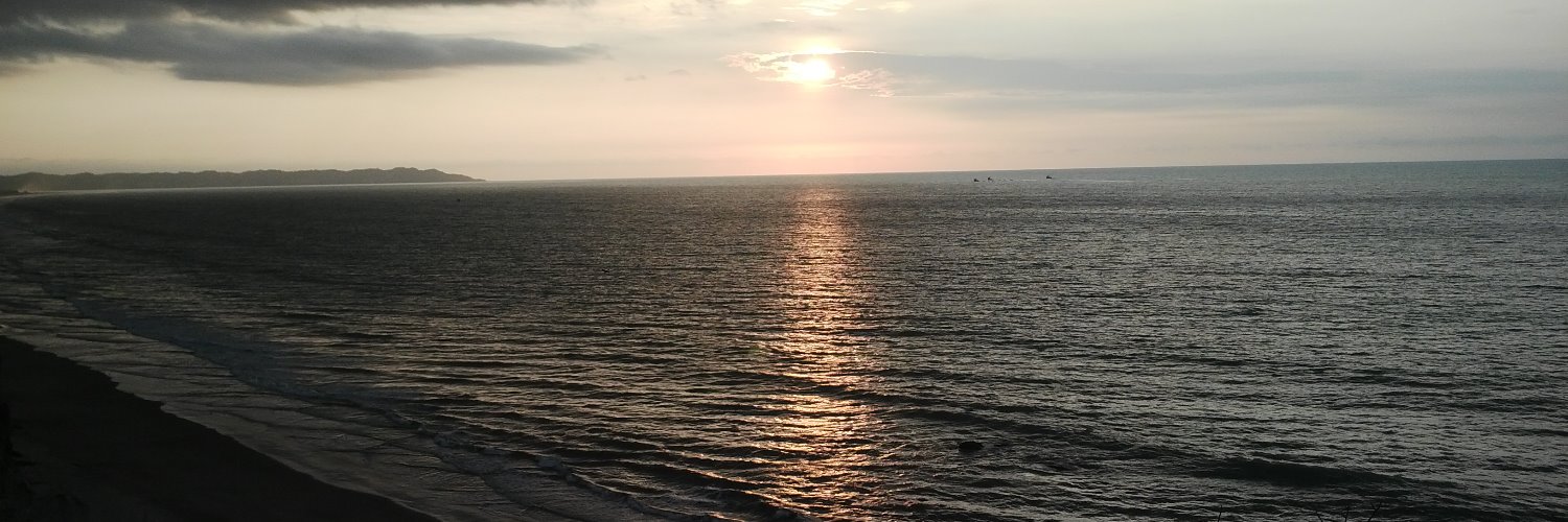 NelsonZ71's profile banner image