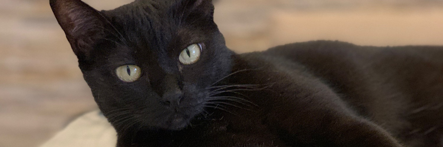 TatiOsg's profile banner image