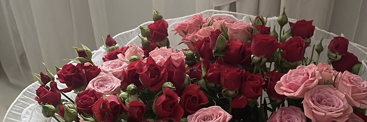 Doaaghamdi's profile banner image