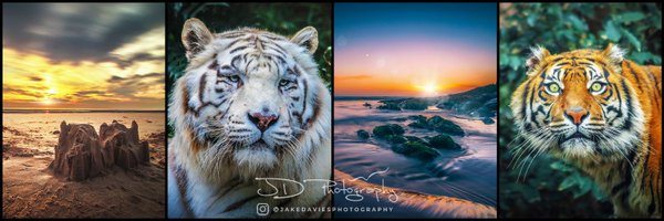 Jake Davies Photography 📸 🇬🇧 Profile Banner