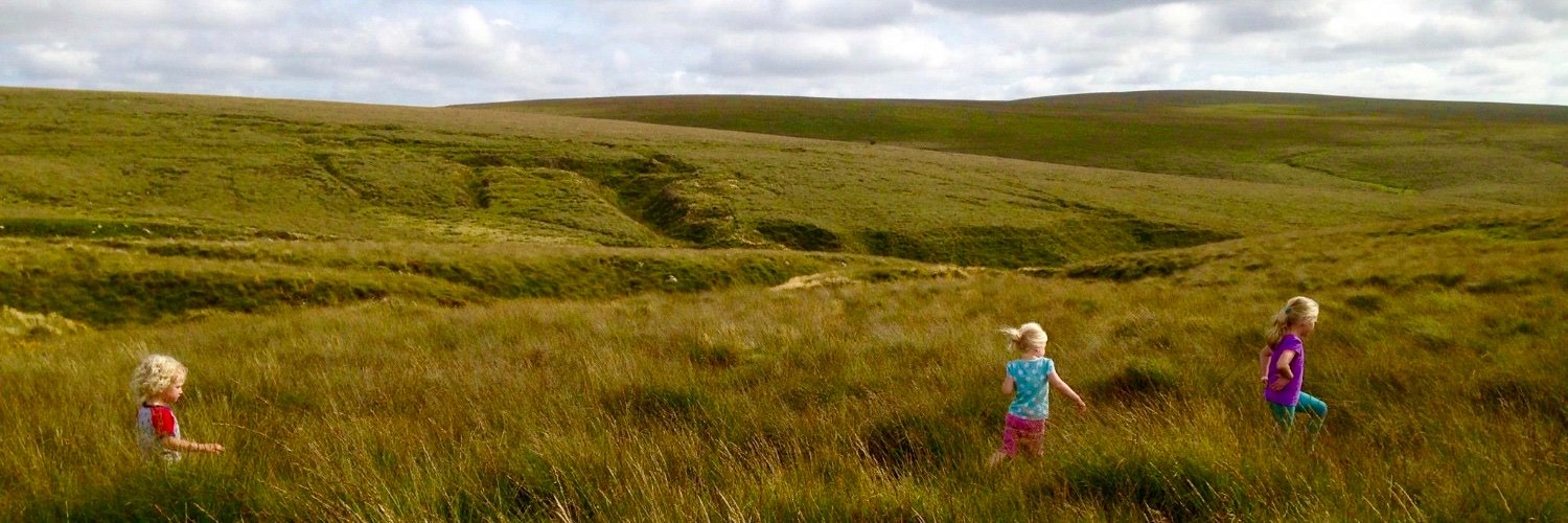 Dr Anna Gething banner