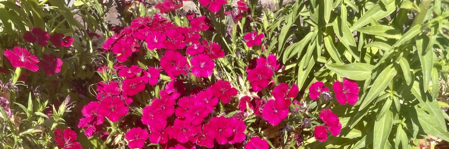AnnaWal45226135's profile banner image