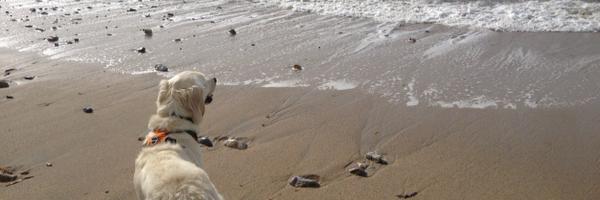 sheila8007 Profile Banner