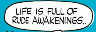 slbwhitaker's profile banner image