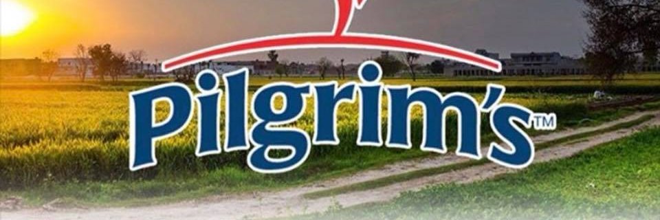 PilgrimsMTP's profile banner image