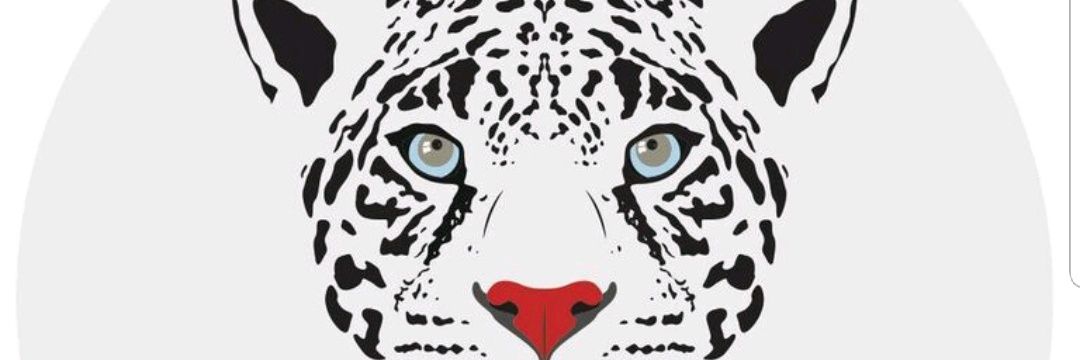 LynchSchool's profile banner image