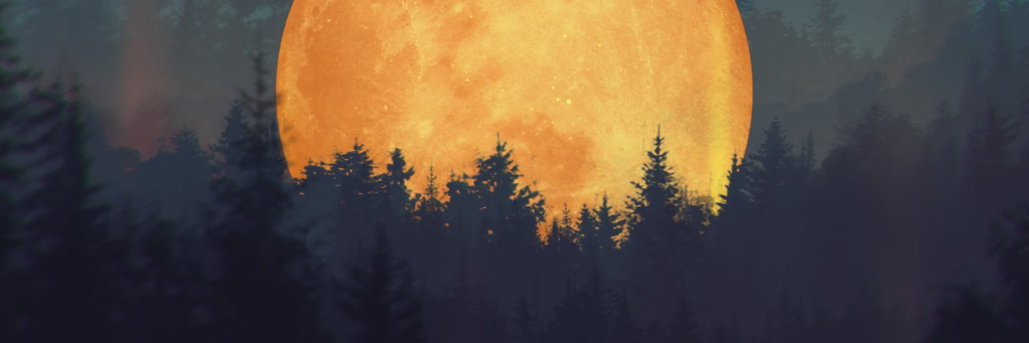 ctnntc's profile banner image