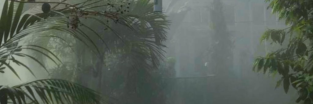 meredithcarro's profile banner image