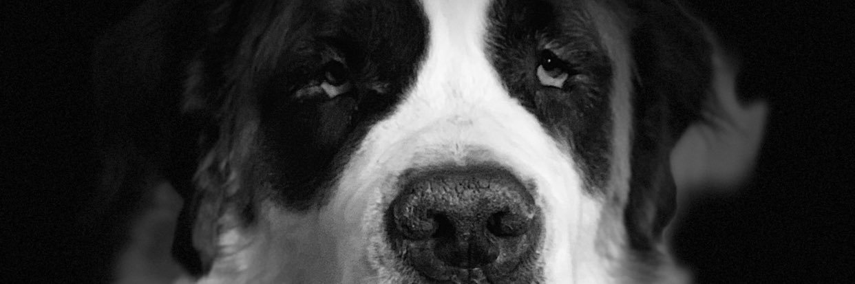 justnik75's profile banner image