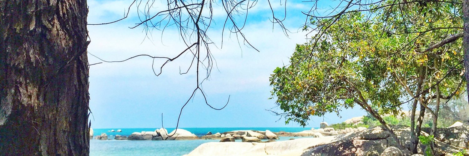 Steviiewong's profile banner image